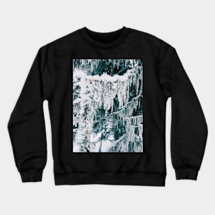 Wintertime - Closeup of Frost on Moss Hanging From Fir Tree Crewneck Sweatshirt